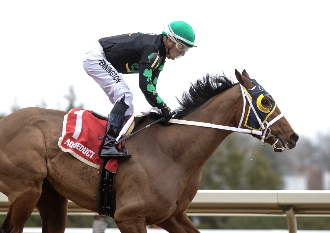 Irish Maxima wins Distaff at AQU April 5 2025