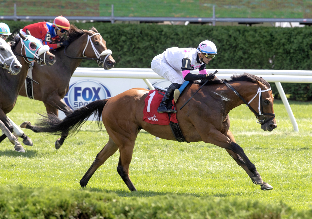 Lord Flintshire wins at SAR Aug 24 2025