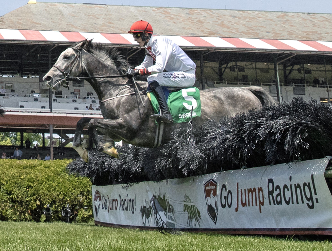 Proven Innocent wins Beverly Steinman Hurdle at SAR June 4 2025