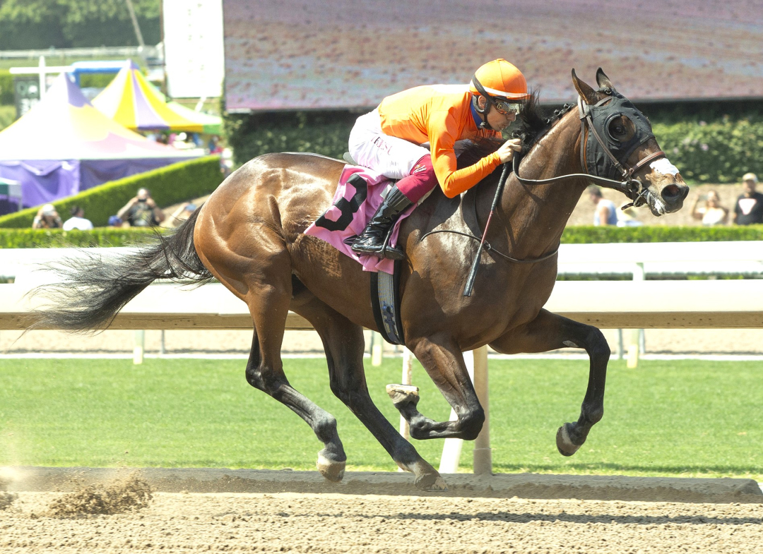Saul Elliott wins maiden at SA May 25 2025