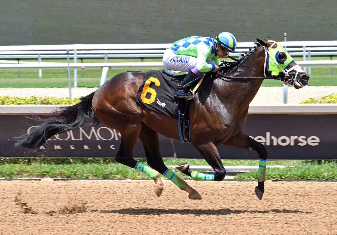 Tres Coronas wins maiden at GP June 8 2025