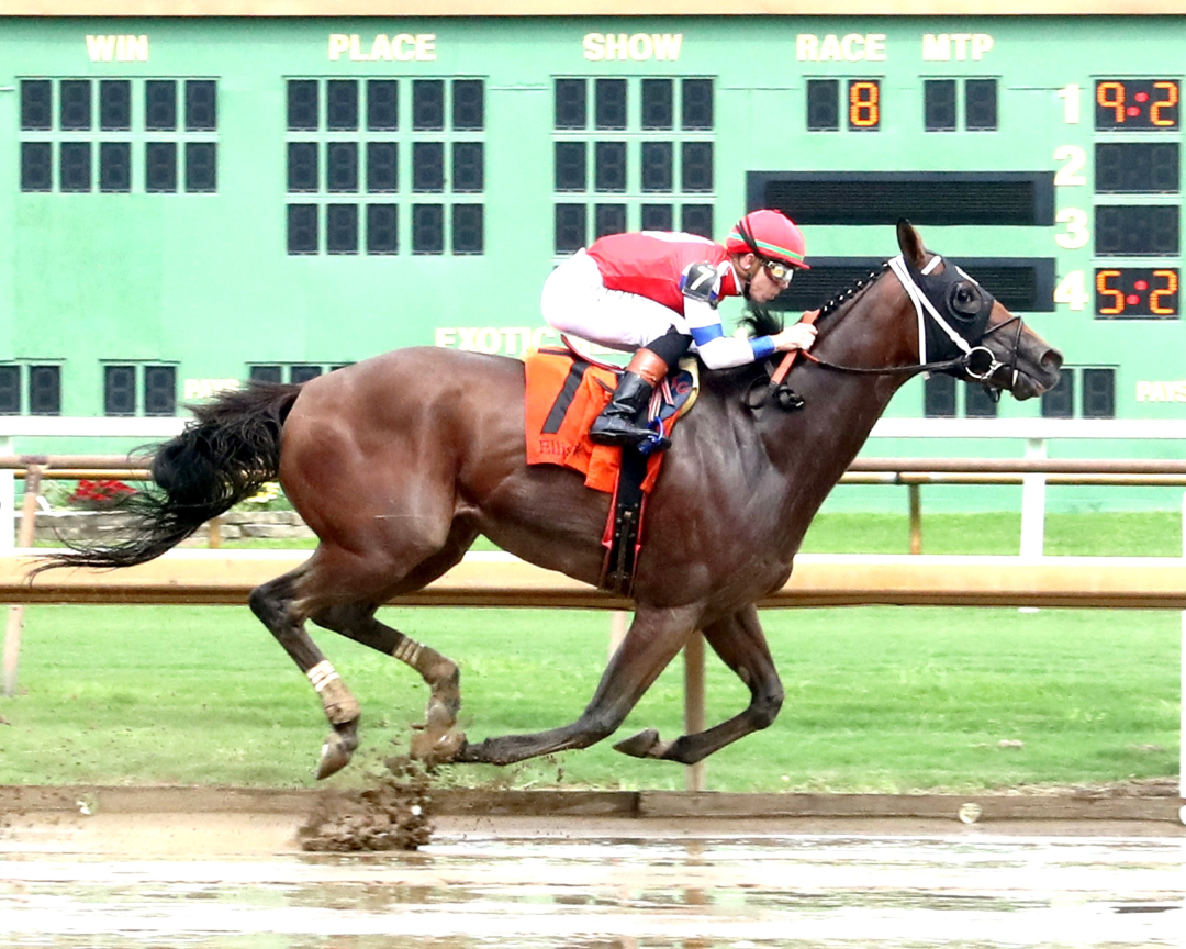 Asternia wins Twin Bridges at ELP July 21 2025