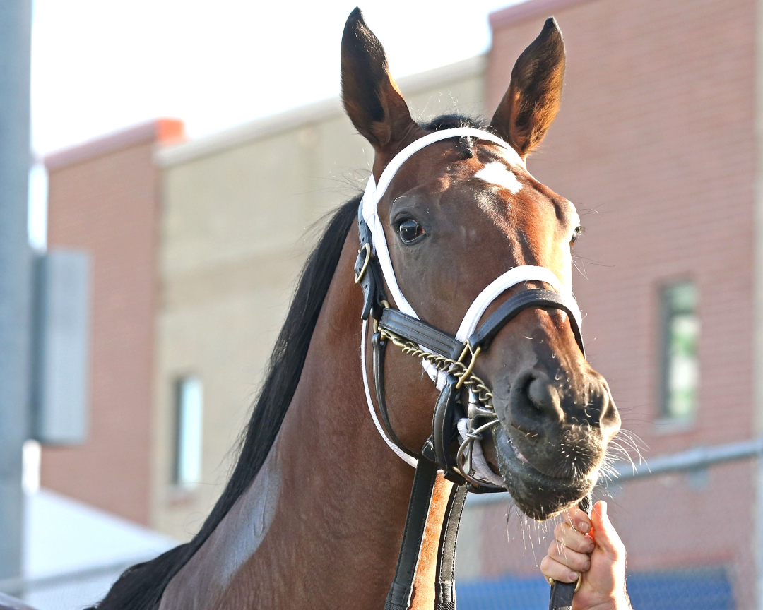 Candy Reward at PID Oct 7 2024