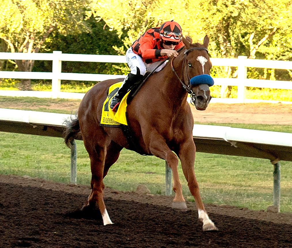 Clovisconnection wins the Harris Farms at FNO Sept 29 2024