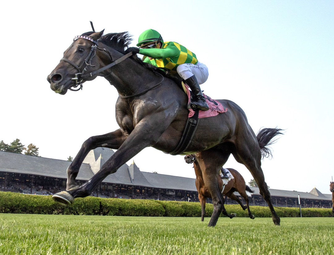 Donegal Momentum wins the Poker at SAR June 5 2025