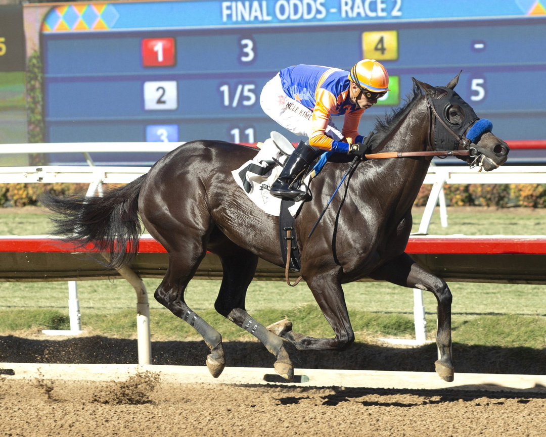 Splendora wins at DMR Nov 17 2024
