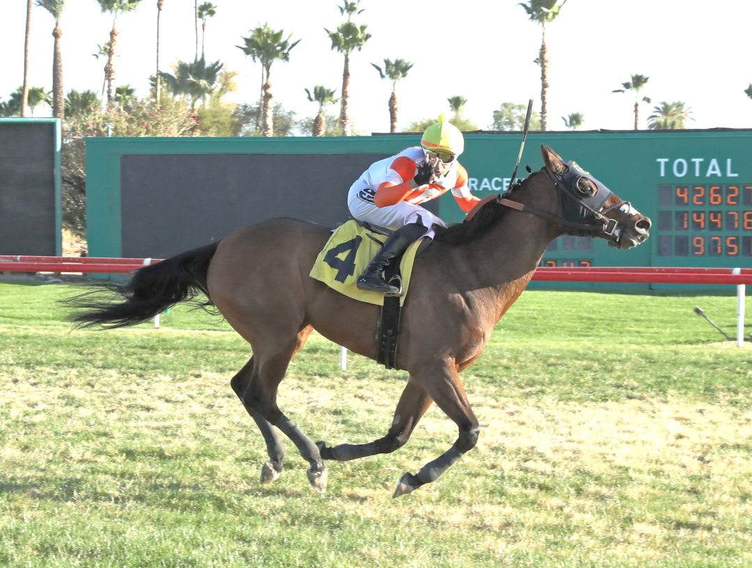 War Chest wins at TUP Dec 16 2024