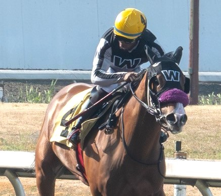 Chi Chi Time wins Hong Kong Jockey Club at HST Aug 4 2025