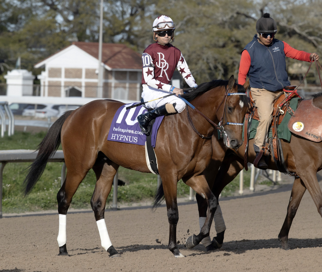 Hypnus at FG March 22 2025