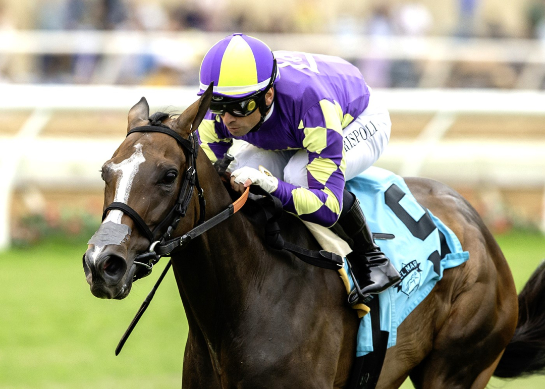 Medoro wins Osunitas at DMR July 20 2025
