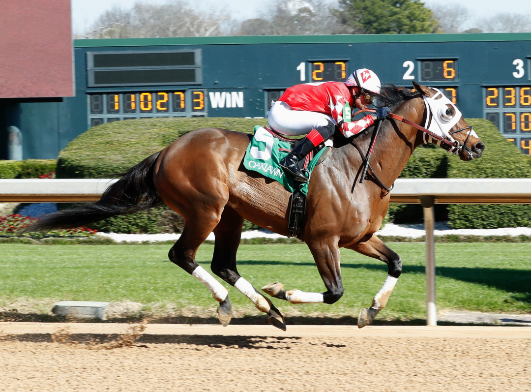 Money Run wins at OP Feb 19 2024