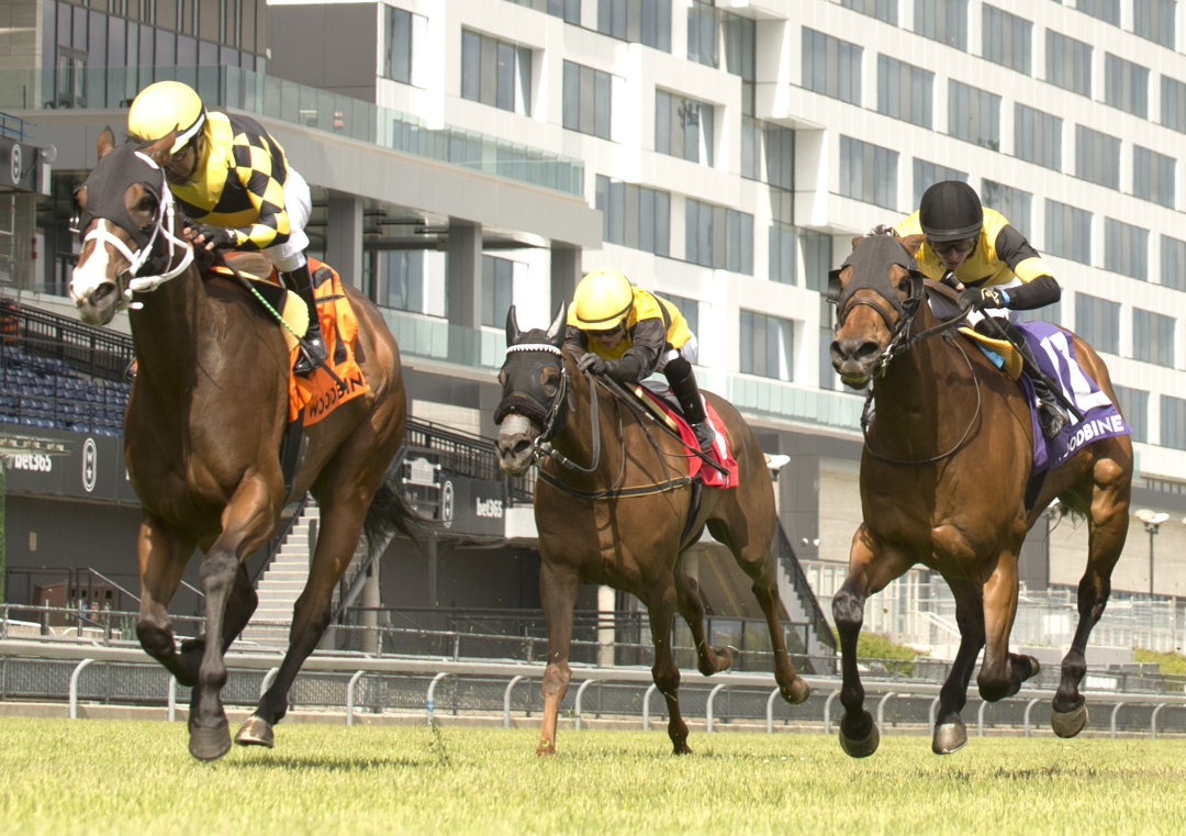 Ms. Tart wins Royal North at WO May 31 2025