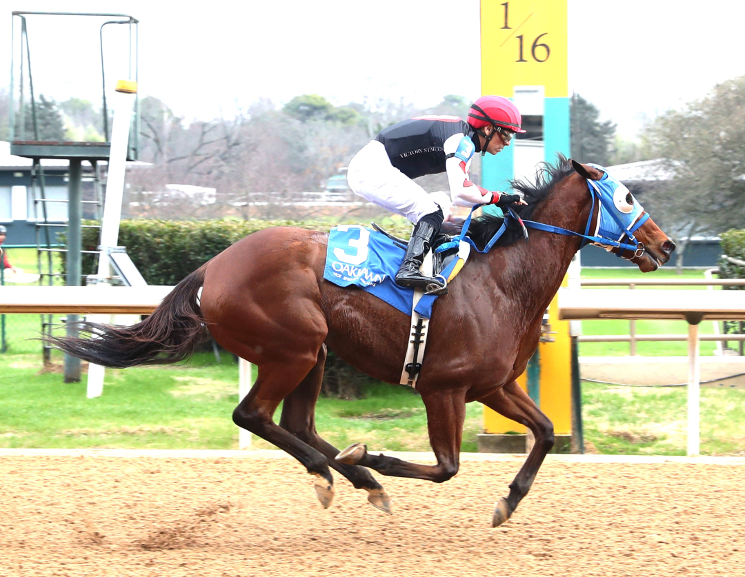 Seas of Normandy wins at OP Feb 8 2025