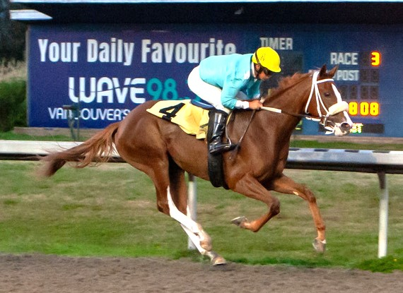 Sunny Wishes wins the CTHS Sales at HST Aug 25 2025