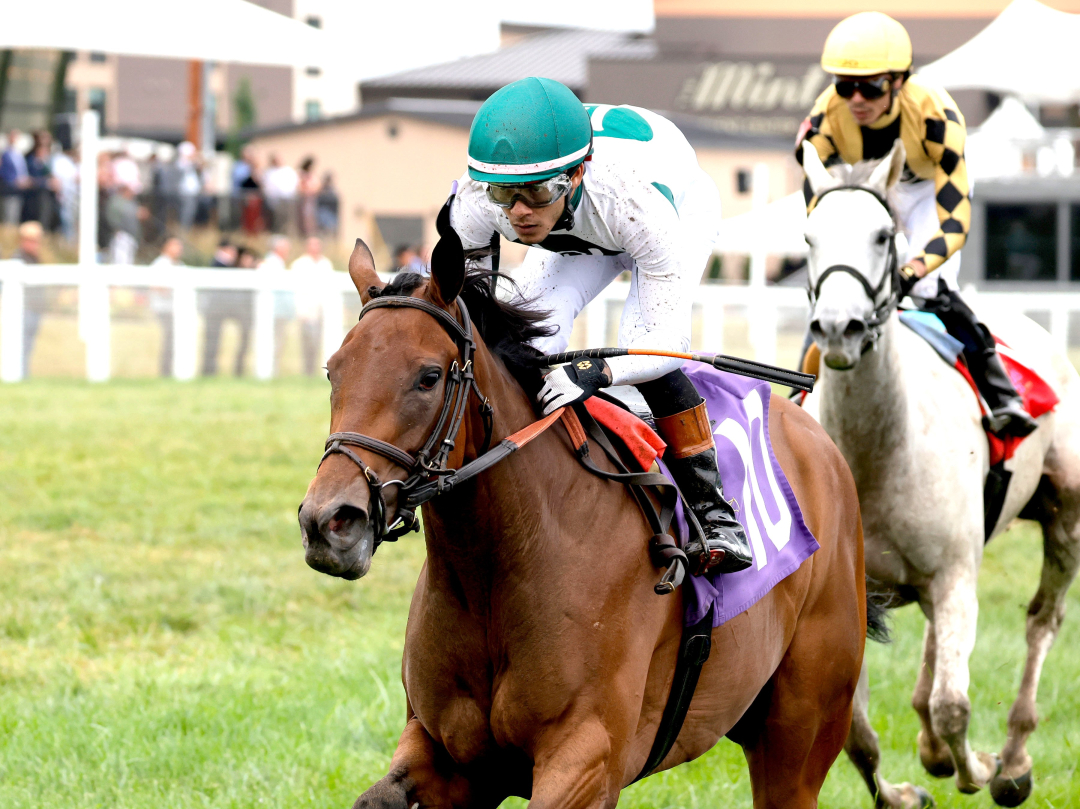 Cheetah Lady wins at KD Sept 6 2025