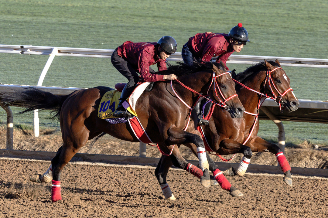 Forever Young (outside) works with American Stage at DMR Oct 29 2025