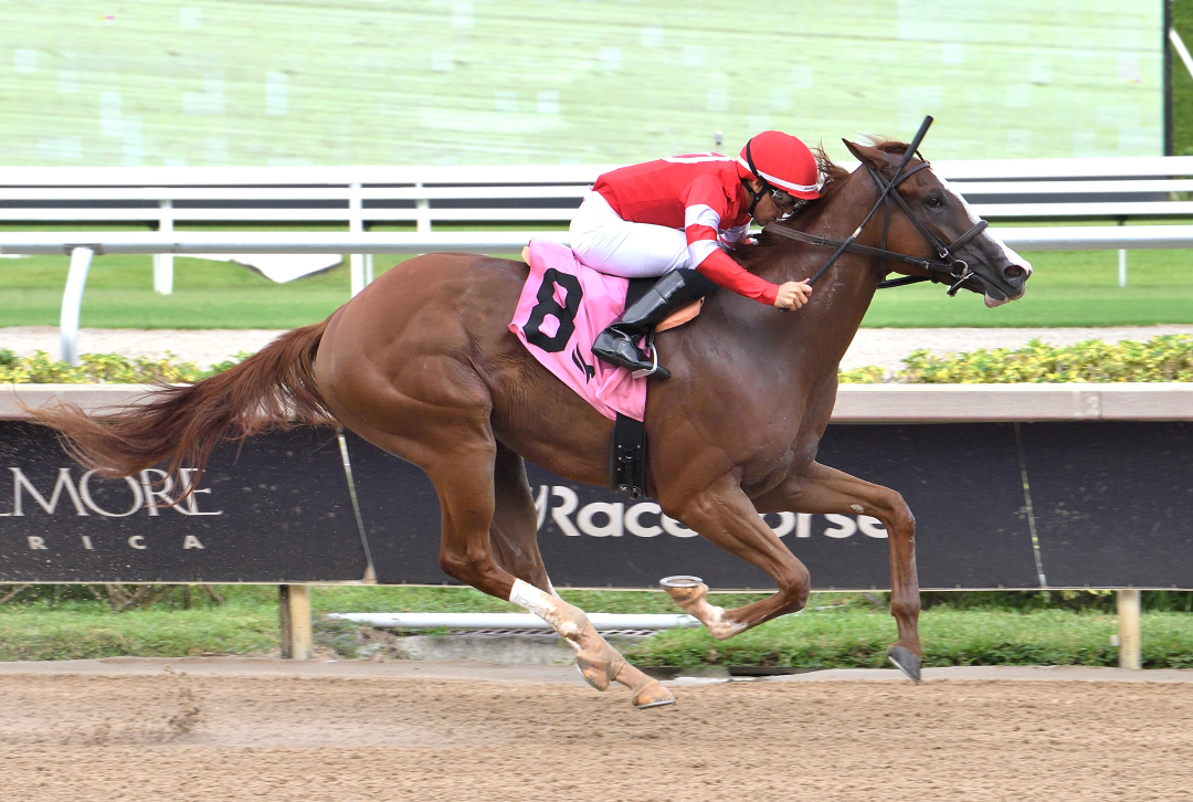 Fourth and Central wins Dr. Fager at GP Sept 6 2025