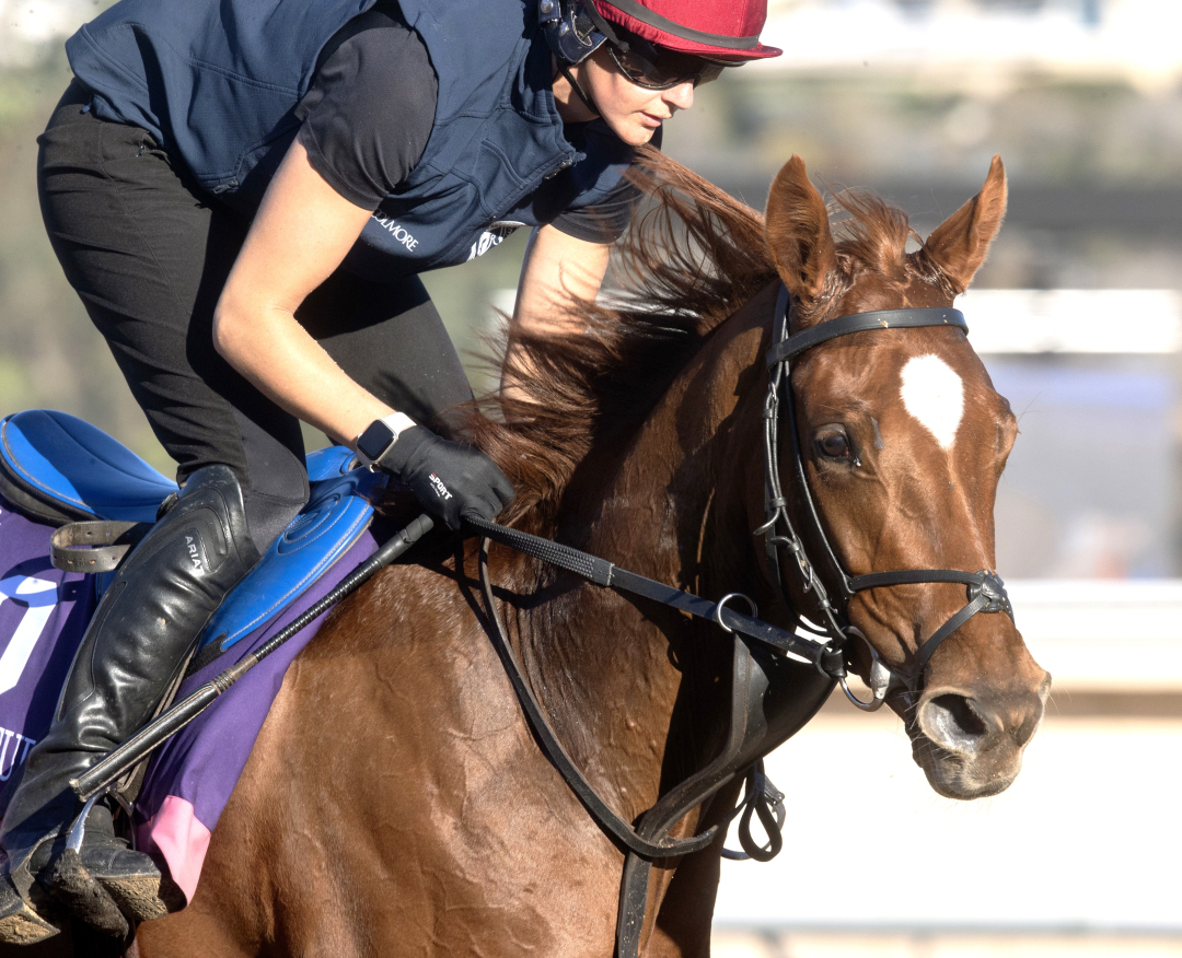 Precise at DMR Oct 29 2025