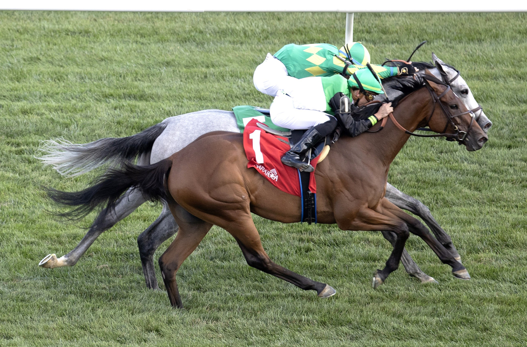 Proctor Street (No. 1) wins maiden at SAR July 18 2024