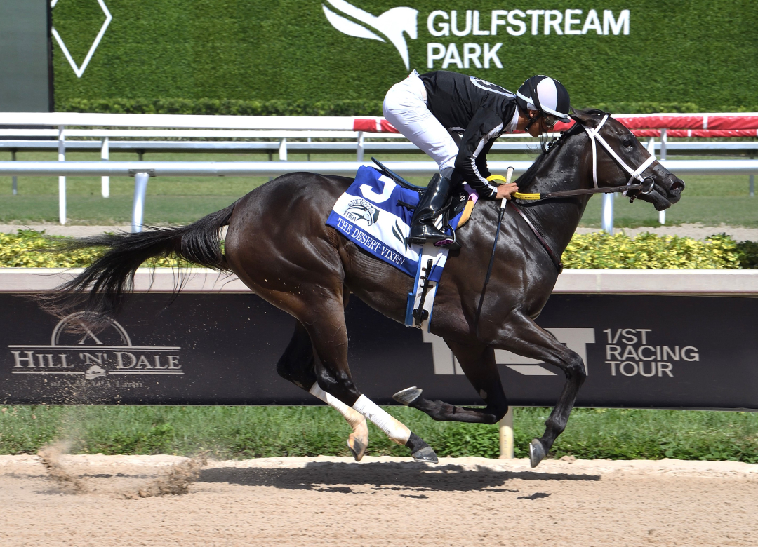 R Morning Brew wins Desert Vixen at GP Sept 7 2024