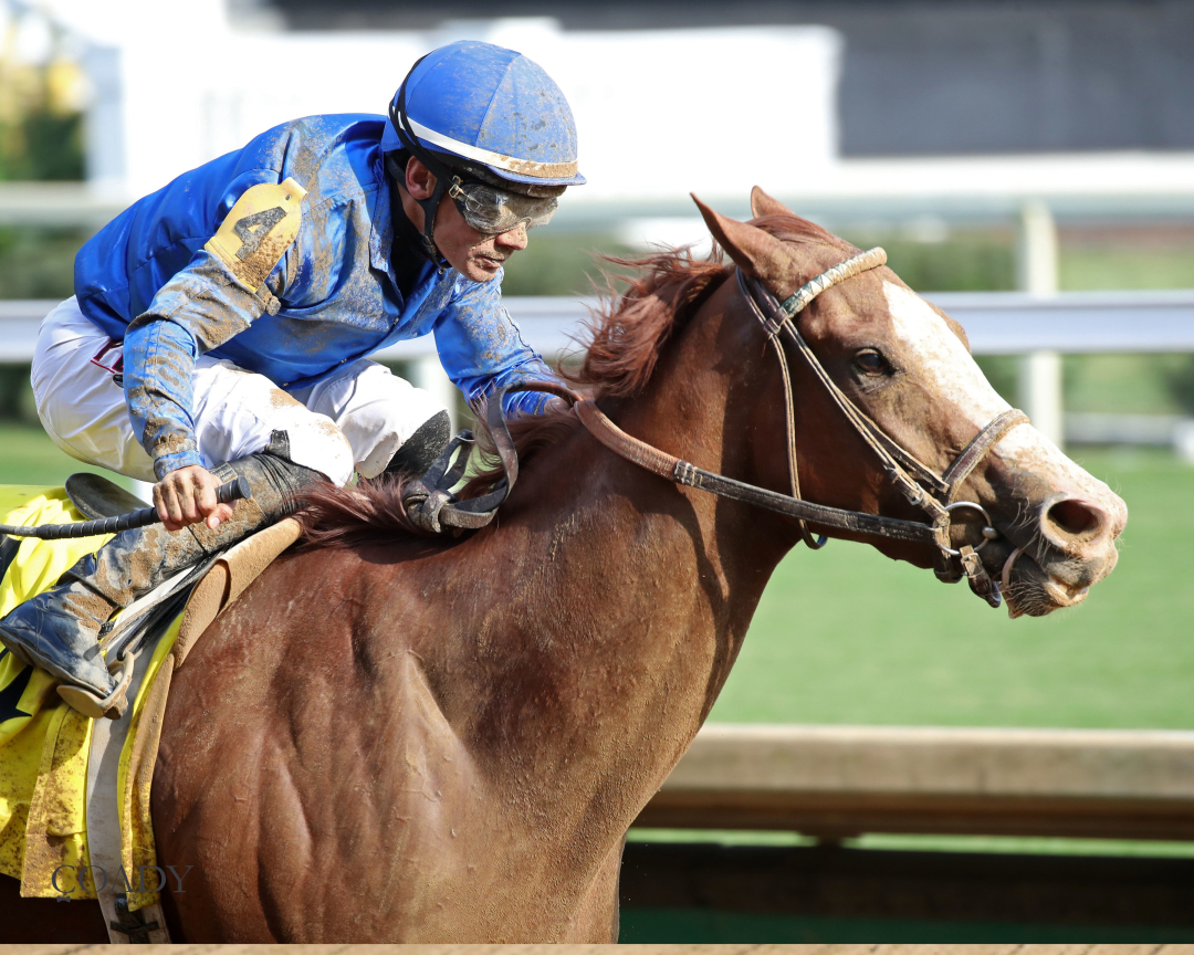 Ragtime wins Dogwood at CD Sept 202025