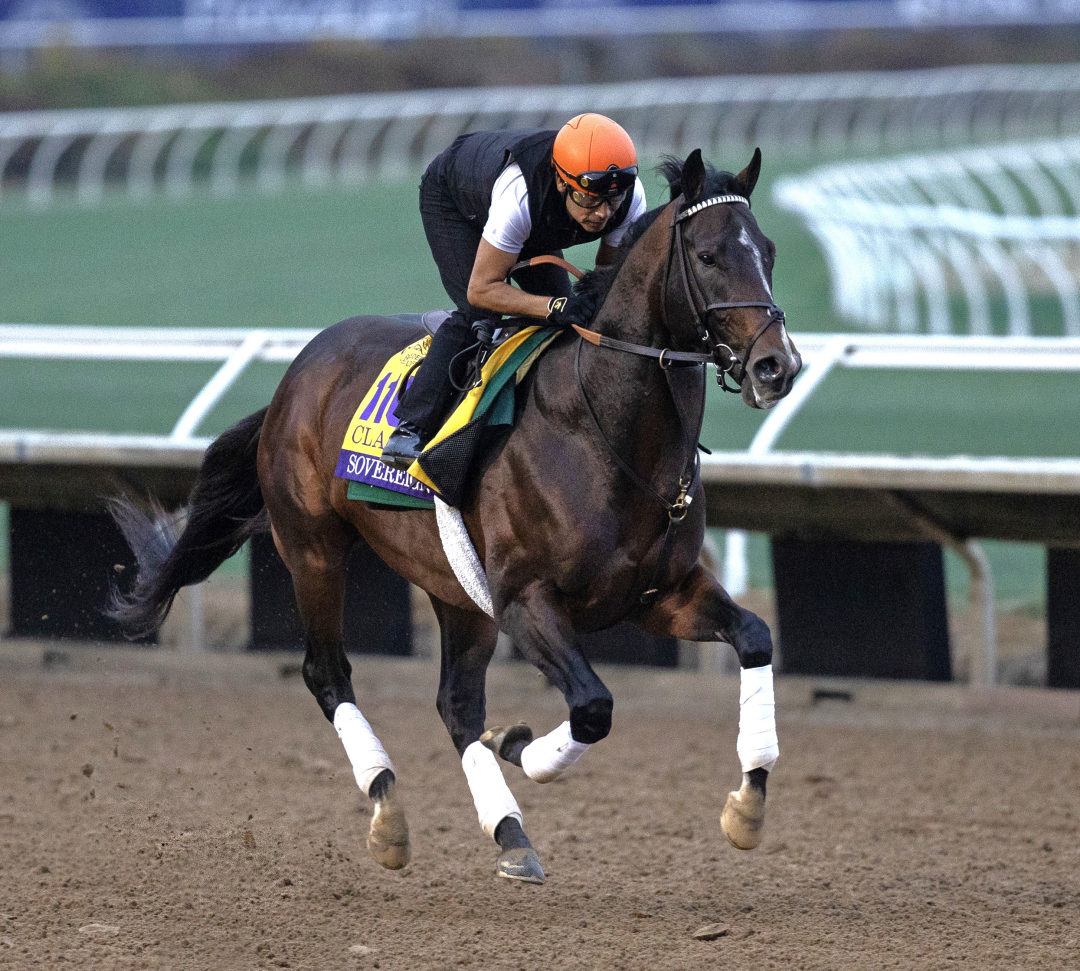 Sovereignty gallops at DMR Oct 24 2025