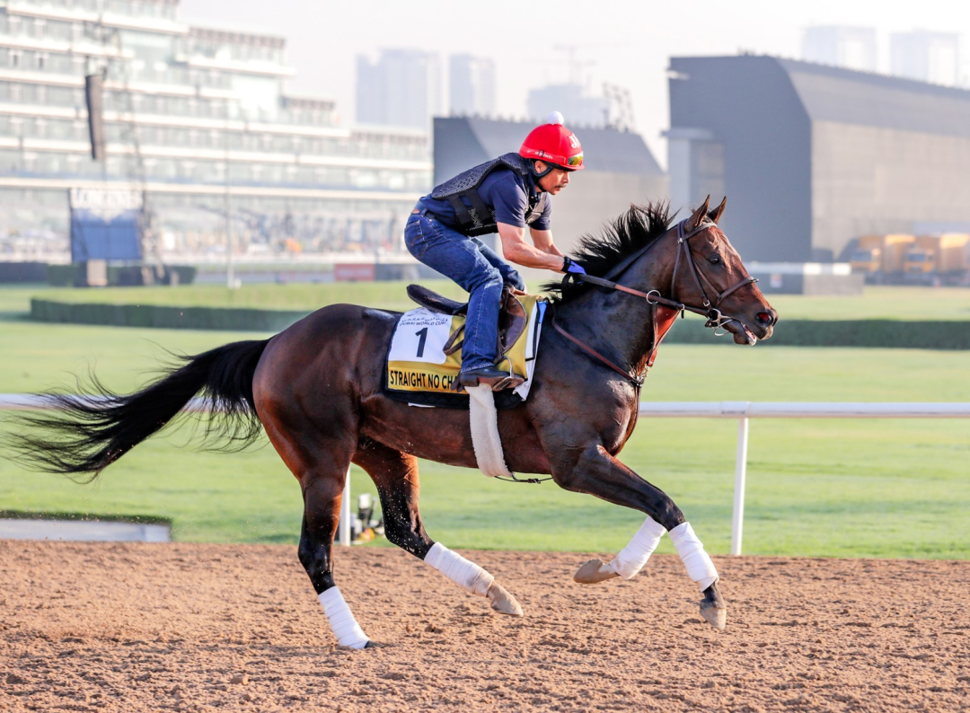 Straight No Chaser at Meydan April 3 2025