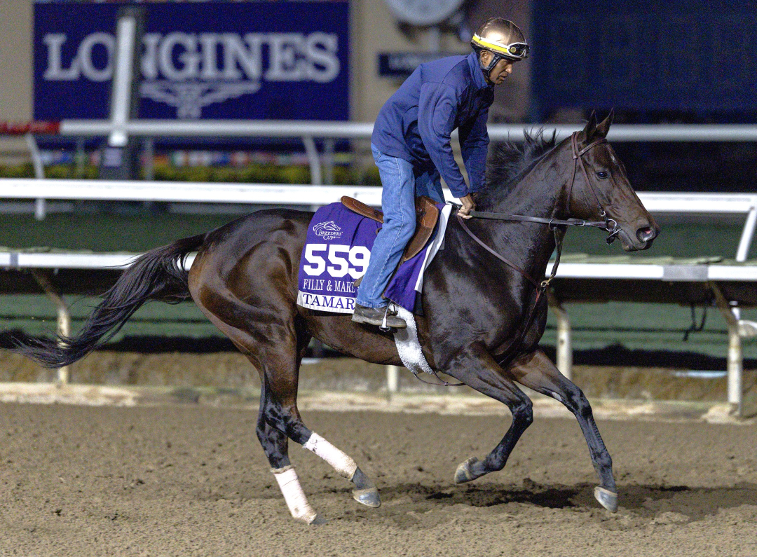 Tamara trains at DMR Oct 29 2025