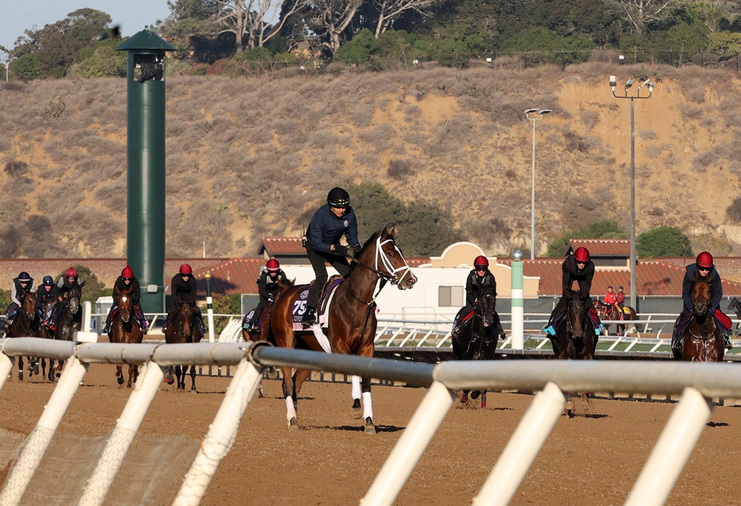 Tommy Jo.O'Brien runners Oct 28 2025