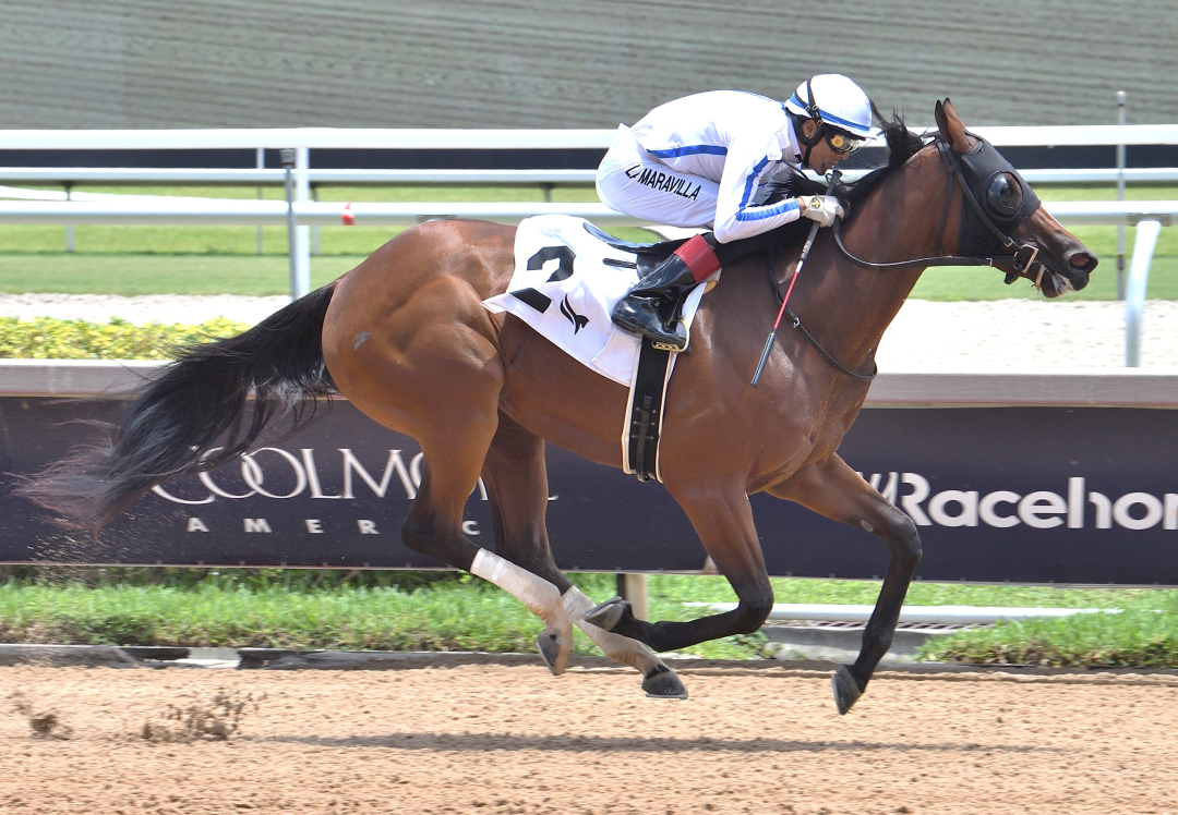 Airdrie Hill wins maiden at GP June 23 2024