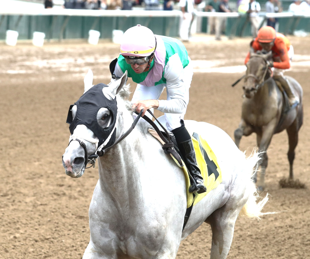 Dragoon Guard wins at CD Sept 24 2025