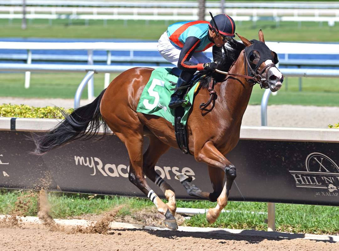 Epigram wins maiden at GP Aug 15 2025