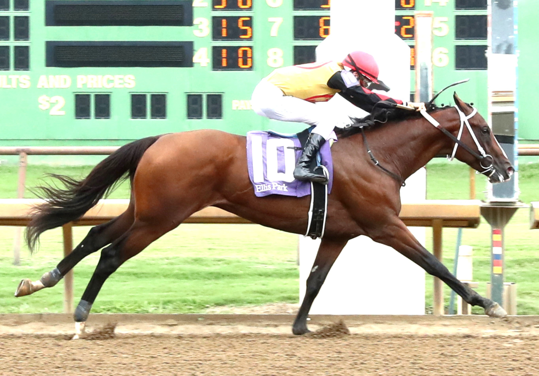 Fuel wins maiden at ELP Aug 22 2025