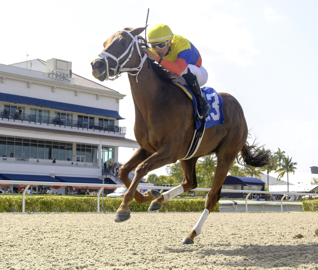 Great Venezuela wins at GP June 28 2025