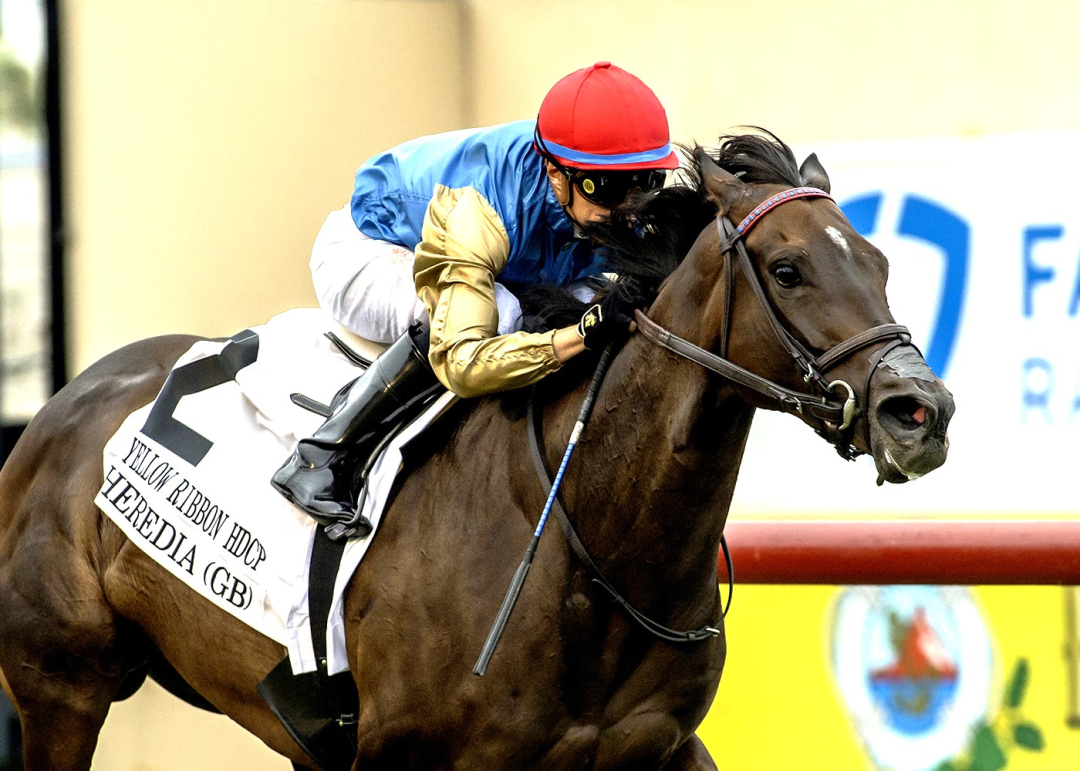 Heredia wins Yellow Ribbon at DMR Aug 9 2025