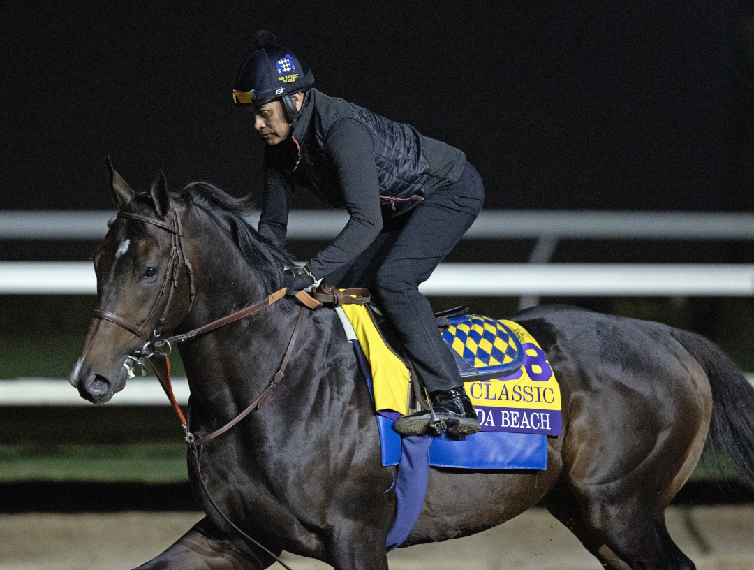 Nevada Beach trains at DMR Oct 27 2025