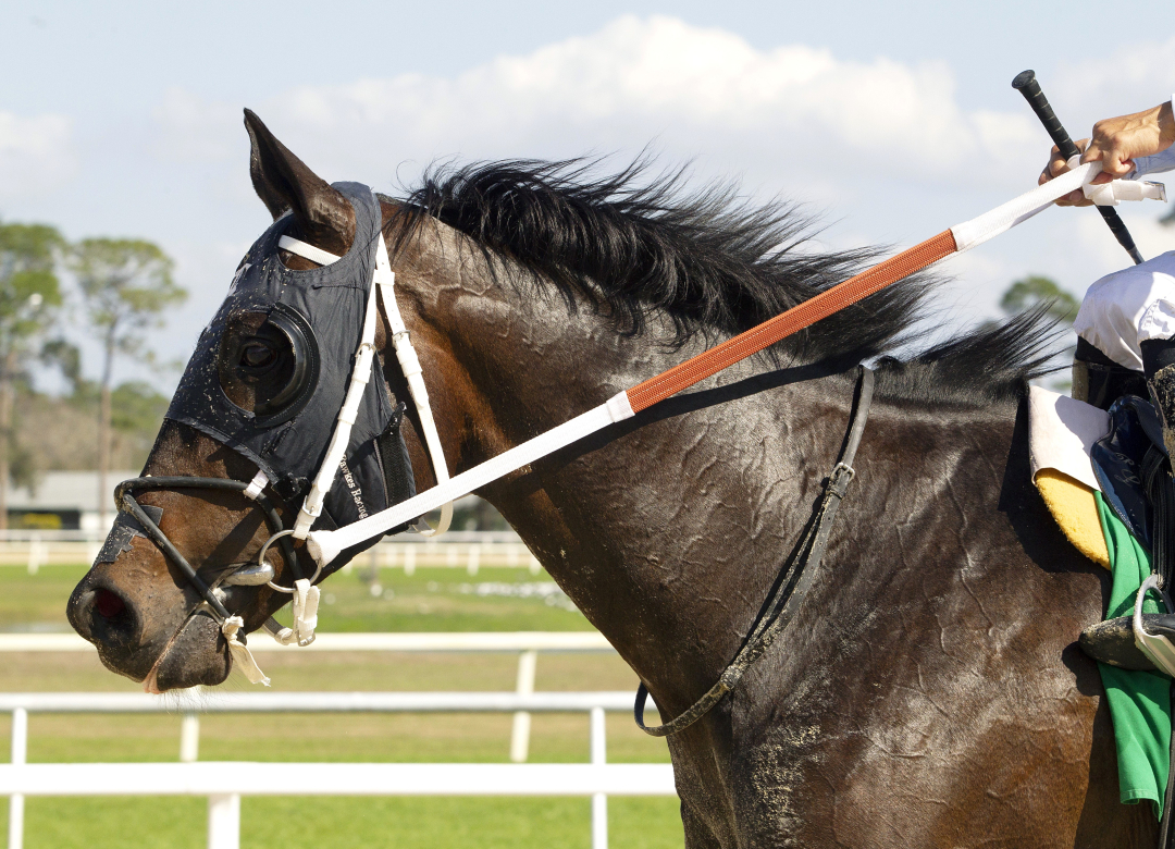 Pure Class. at TAM Feb 8 2025