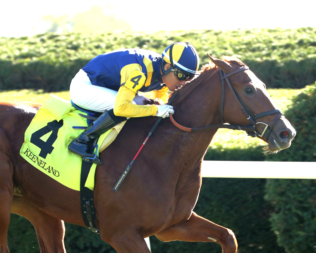 Sister Troienne wins at KD Oct 22 2025