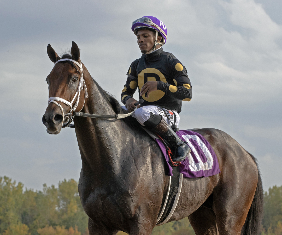 Arctic Beast at FL Sept 22 2025