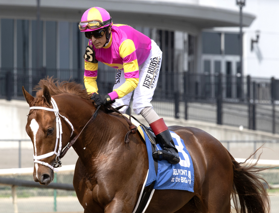 Courting at AQU Sept 27 2025