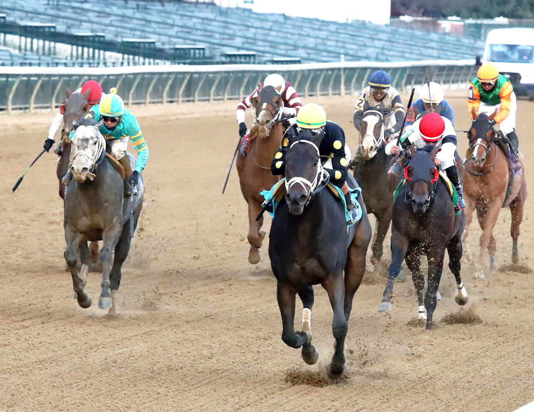 Sharp Swinger wins at CD Nov 30 2025