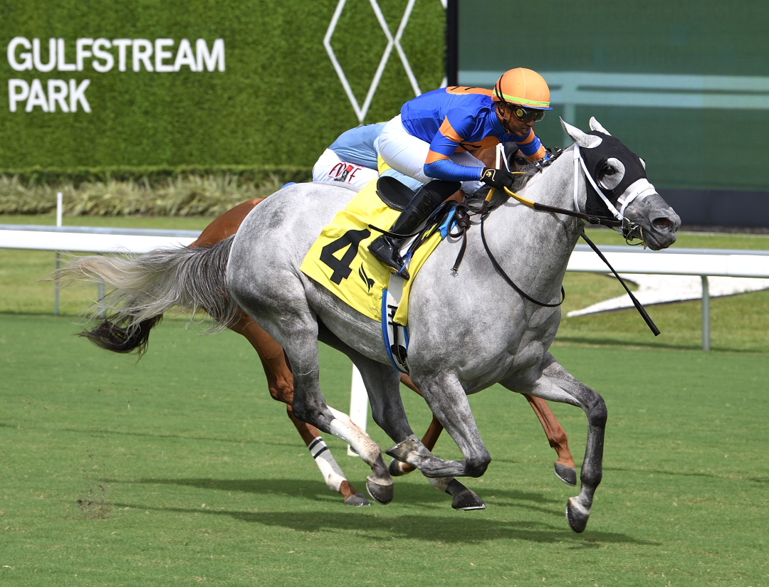 Silver Moonlight wins at GP Oct 4 2025