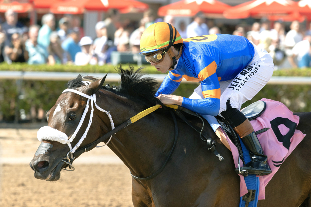 Code Review wins debut at GP Jan 25 2026