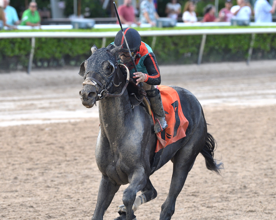 Lightning Tones wins at GP Aug 30 2025