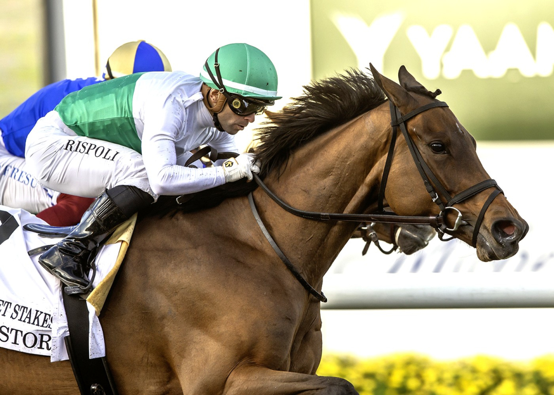 Mrs. Astor wins Red Carpet at DMR Nov 23 2025