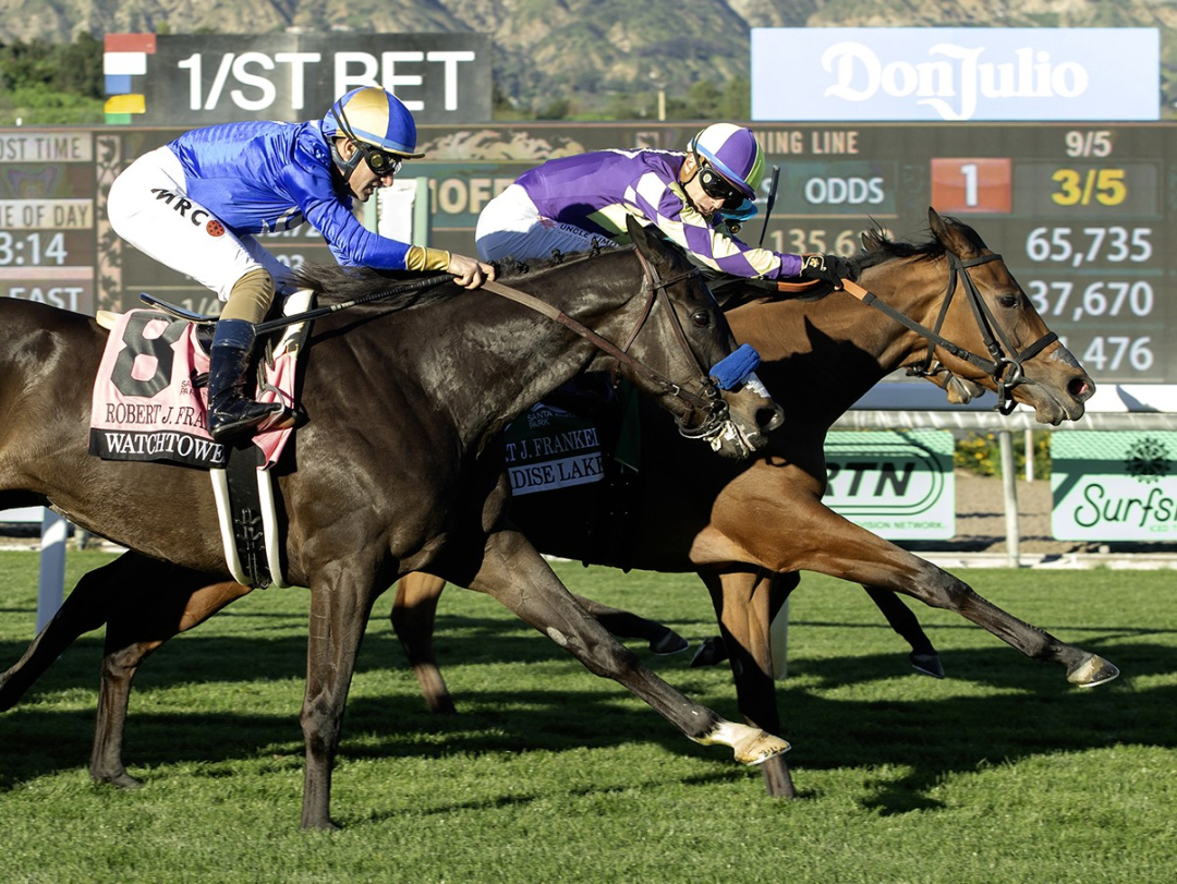 Paradise Lake wins Robert Frankel at SA Jan 8 2026