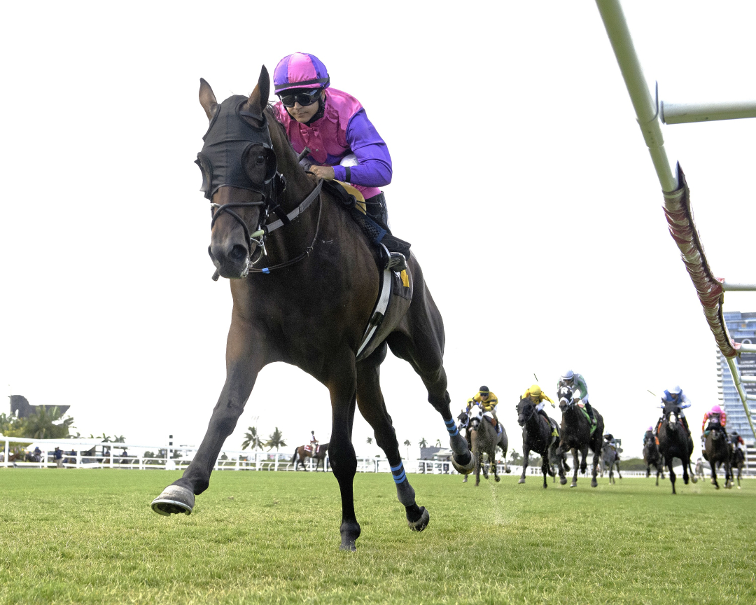 Redland Rebels02.8.3.25