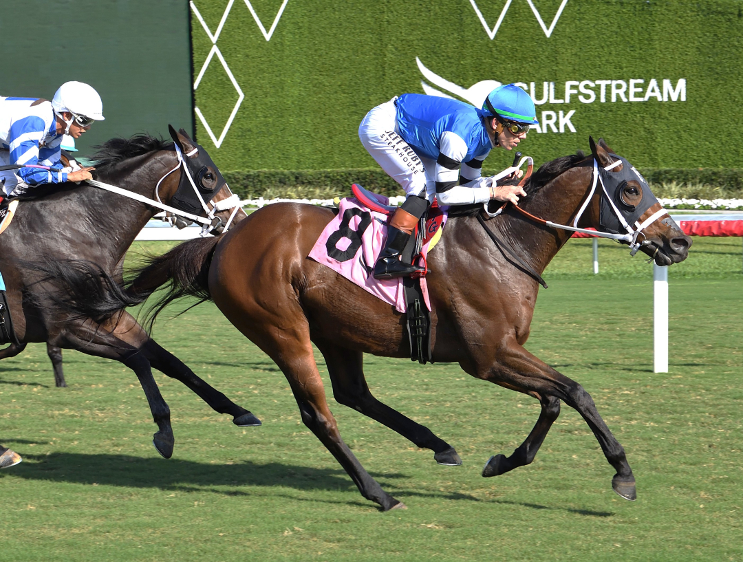 Reef Runner wins Janus at GP Dec 2025