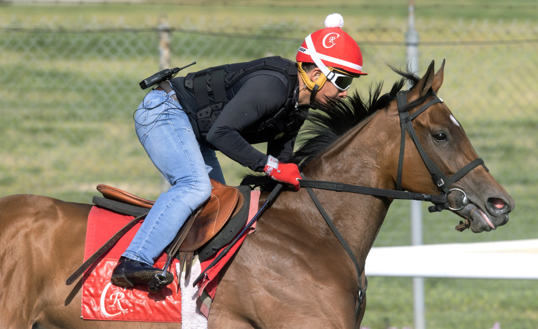 Vixen works at CD April 22 2025