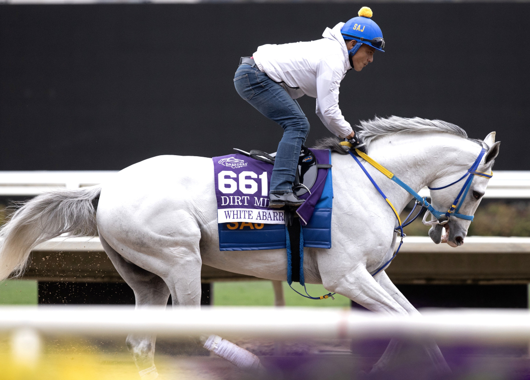 White Abarrio at DMR Oct 27 2025